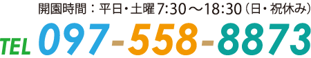 097-558-8873